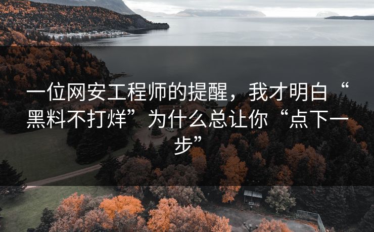 一位网安工程师的提醒，我才明白“黑料不打烊”为什么总让你“点下一步”