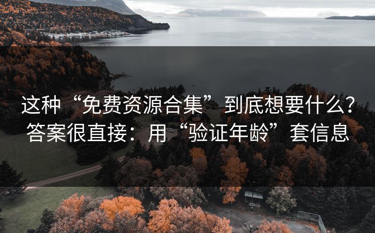这种“免费资源合集”到底想要什么？答案很直接：用“验证年龄”套信息