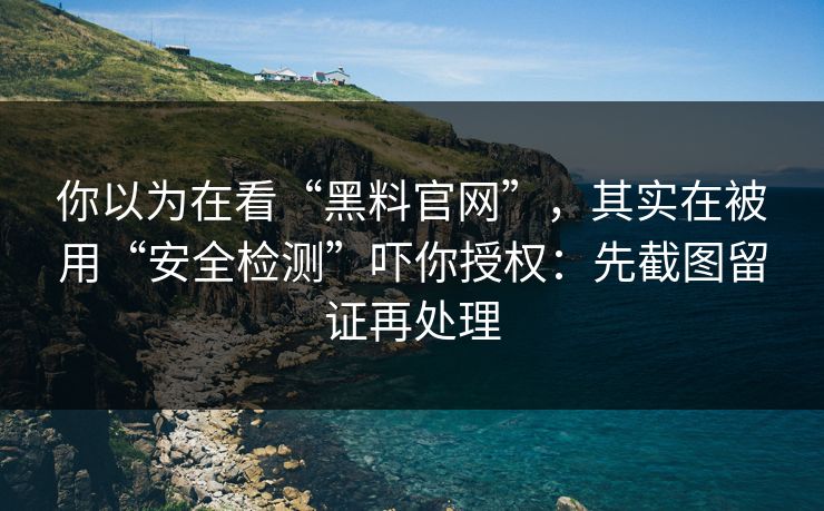 你以为在看“黑料官网”，其实在被用“安全检测”吓你授权：先截图留证再处理