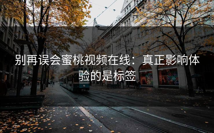 别再误会蜜桃视频在线：真正影响体验的是标签