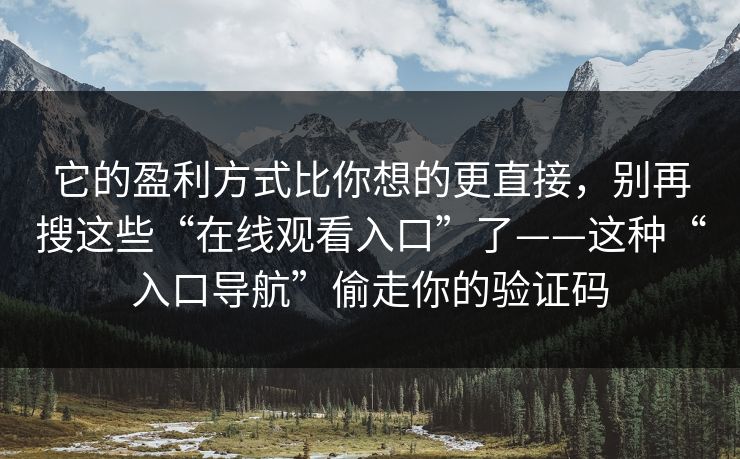 它的盈利方式比你想的更直接，别再搜这些“在线观看入口”了——这种“入口导航”偷走你的验证码