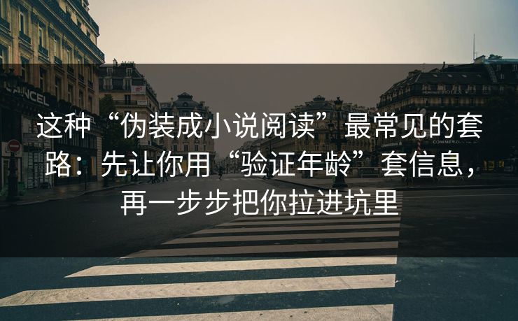 这种“伪装成小说阅读”最常见的套路：先让你用“验证年龄”套信息，再一步步把你拉进坑里