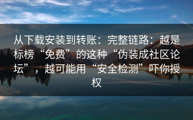 从下载安装到转账：完整链路：越是标榜“免费”的这种“伪装成社区论坛”，越可能用“安全检测”吓你授权