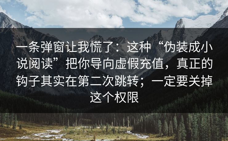 一条弹窗让我慌了：这种“伪装成小说阅读”把你导向虚假充值，真正的钩子其实在第二次跳转；一定要关掉这个权限